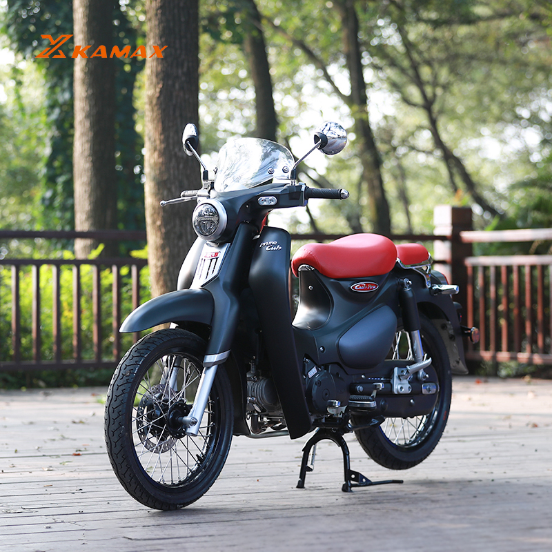 IMGL8204