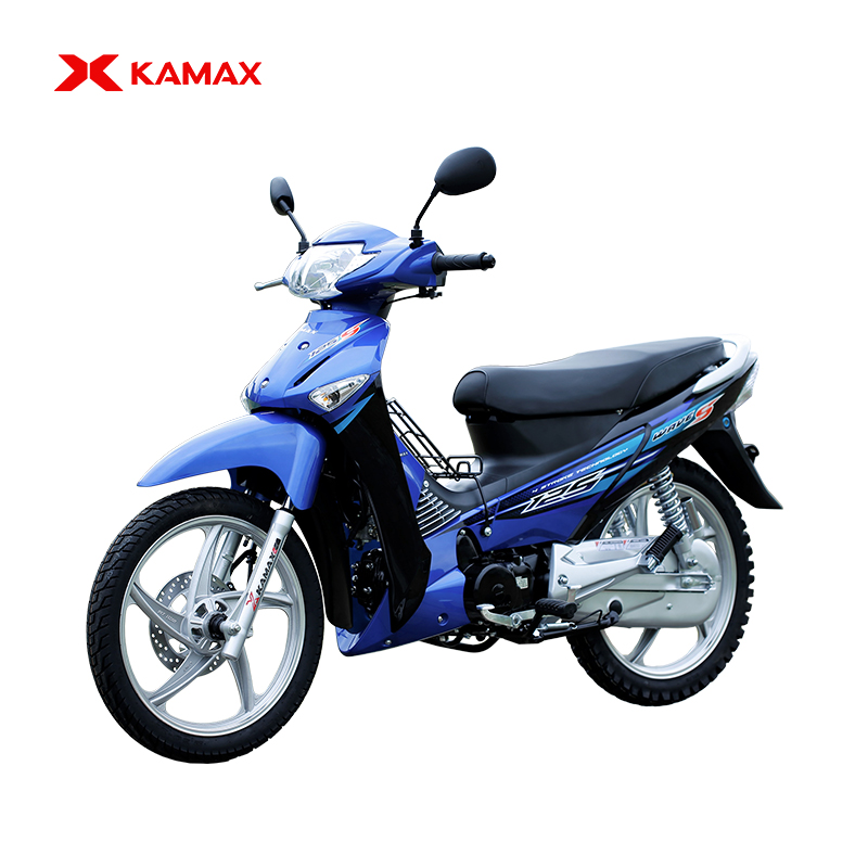 kamax Asian Leopard-1 cub motorcycles