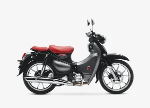 cub pro 125cc motorcycle