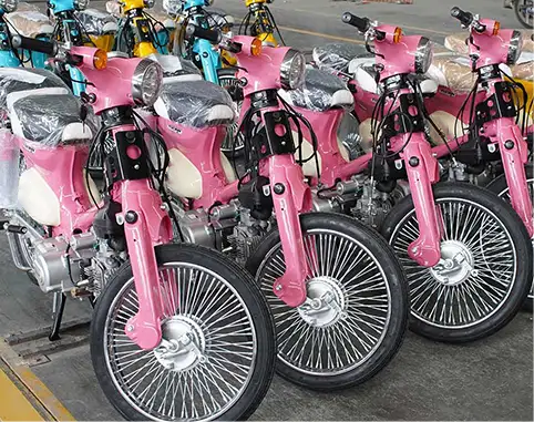 COCO 110cc Motorcycle