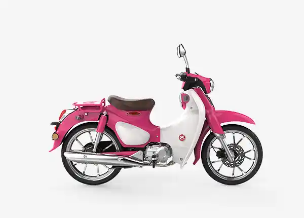 Cub Pro 110 2