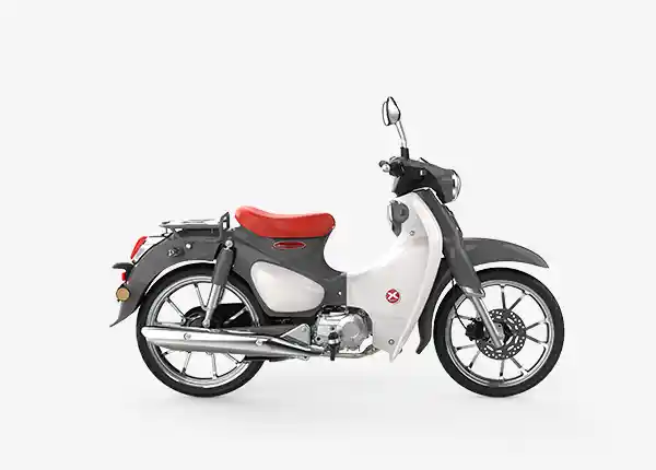 Cub Pro 110 4