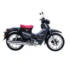Cub Pro 50cc motorcycle 19