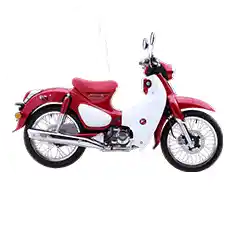 Cub Pro 50cc motorcycle 20