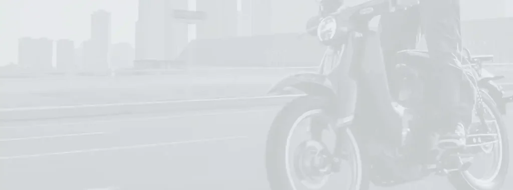 Cub Pro 110 - China OEM Motorcycle Manufacturer Cub Pro 110 | Kamax Motorcycle