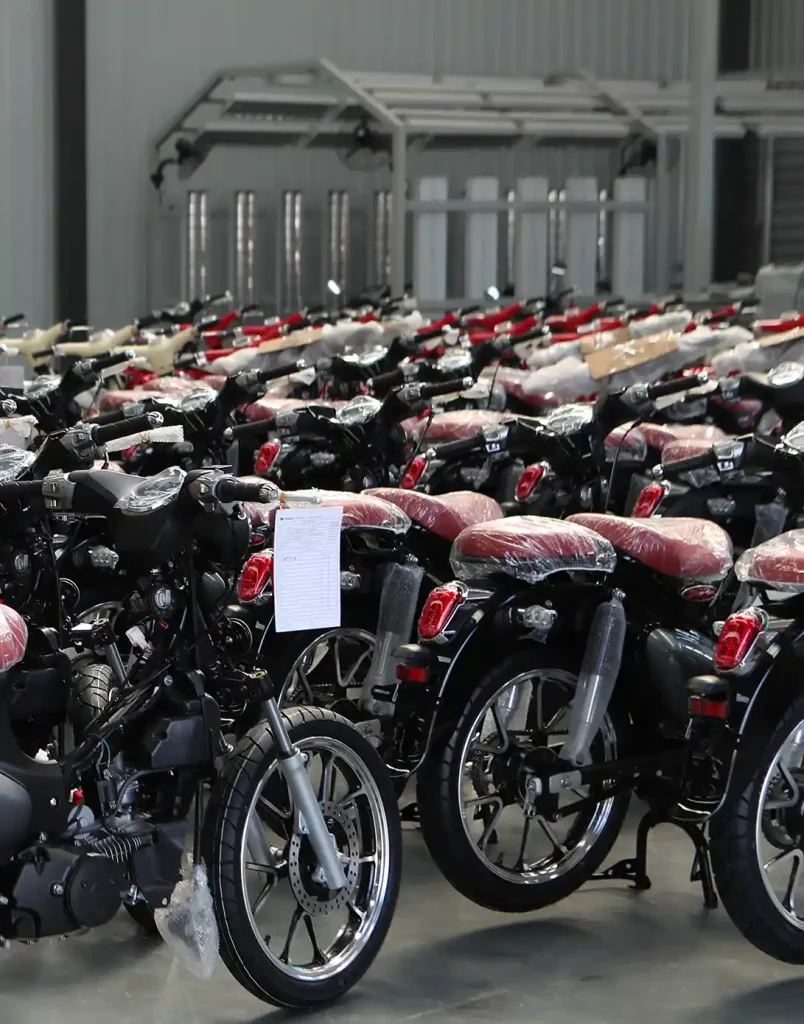 Kamax CUB X 150CC Motorcycle For Wholesale 53