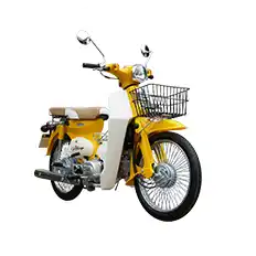COCO 110CC Motorcycle For Sale | Kamax Motorcycle