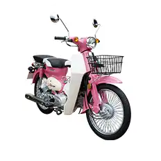 COCO 110CC Motorcycle For Sale | Kamax Motorcycle