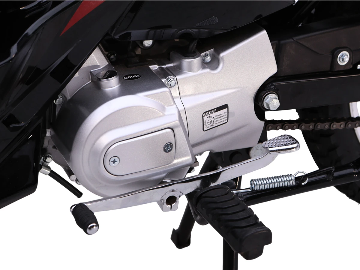 Z110 Engine with Carburetor - Asia Eagle 1 