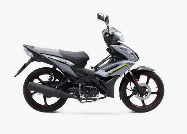 2025 Chinese Motorcycle For Wholesale - China OEM Motorcycle Manufacturer Asian Eagle 3