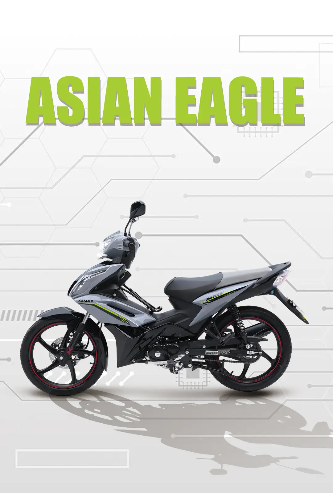 Asian Eagle 3