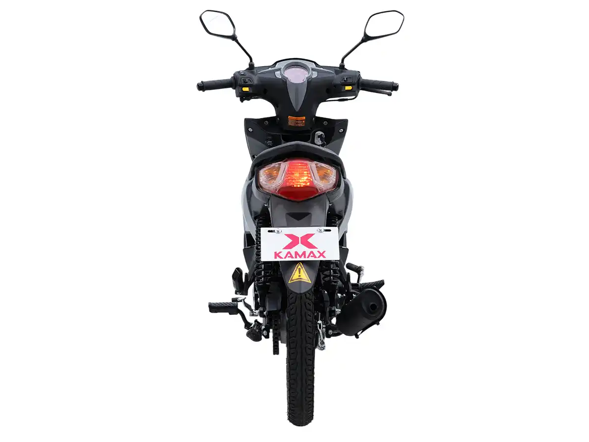 Asian Eagle 3 - Rear