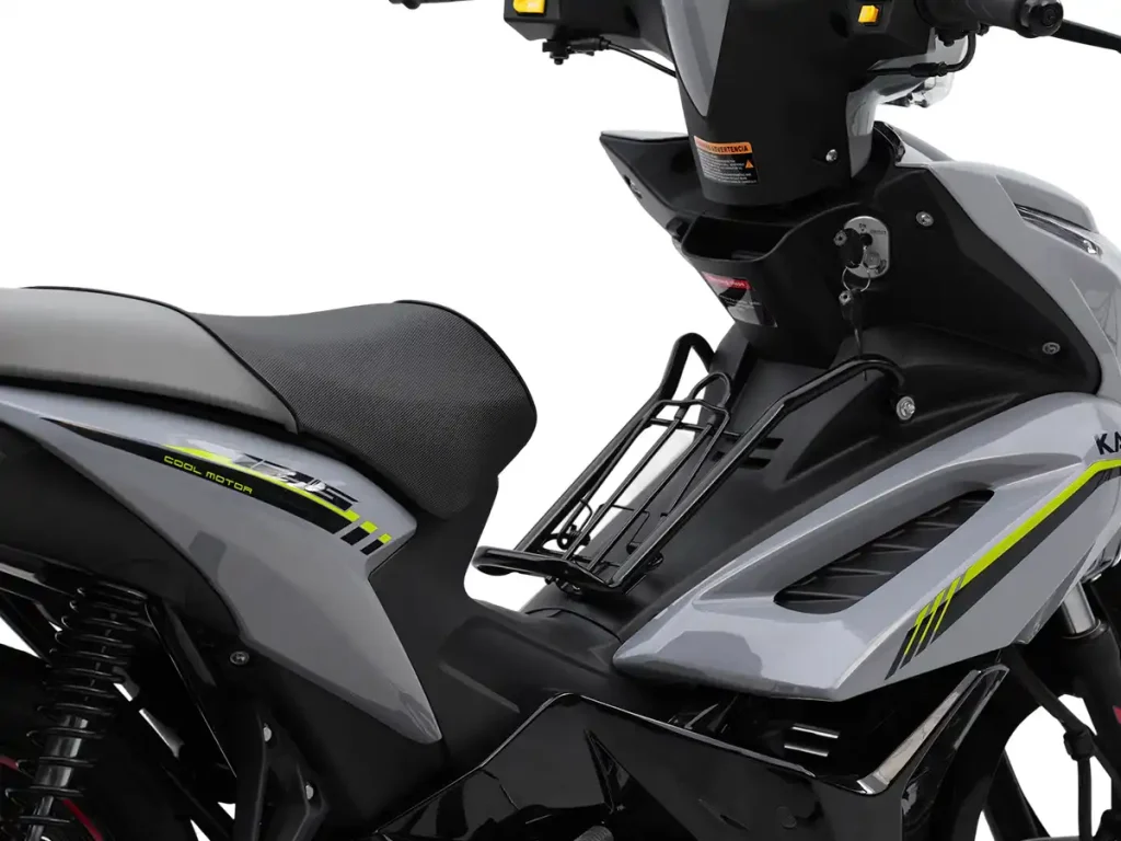 ASIAN EAGLE 6 - China OEM Motorcycle Manufacturer Black Steel Middle Luggage Rack - Asian Eagle 3