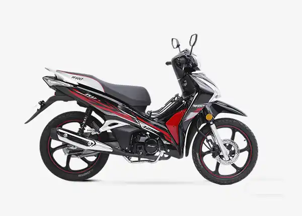 2025 Chinese Motorcycle For Wholesale - China OEM Motorcycle Manufacturer Asian Leopard 3