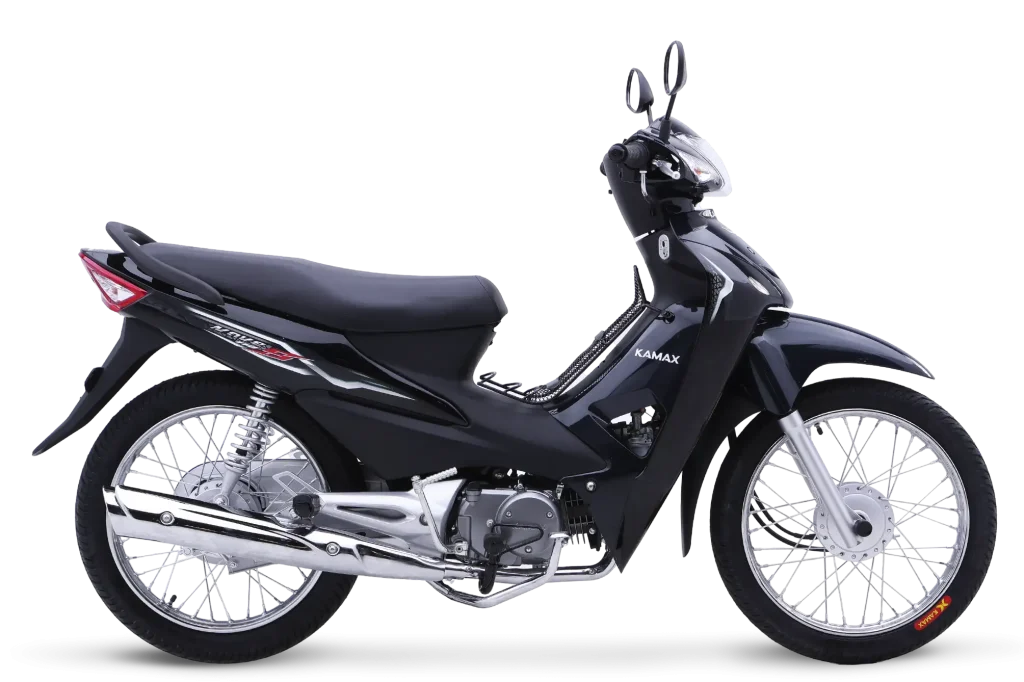 Asian Tiger 1 - China OEM Motorcycle Manufacturer Asian Tiger 1 | Kamax Motorcycle