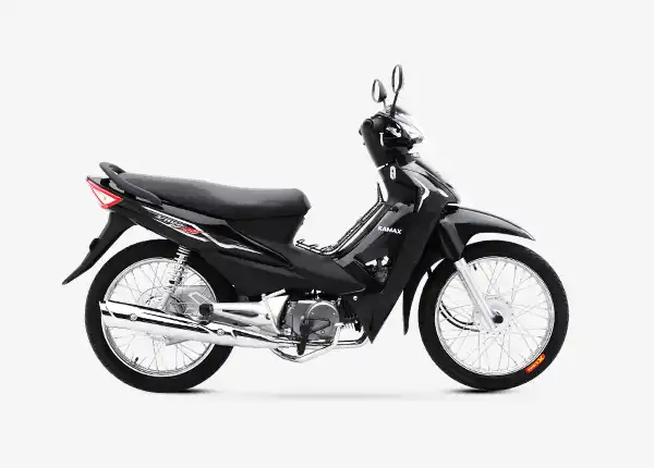 2025 Chinese Motorcycle For Wholesale - China OEM Motorcycle Manufacturer Asian Tiger 1