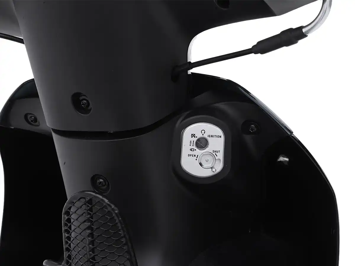 Asian Tiger 1 | Kamax Motorcycle