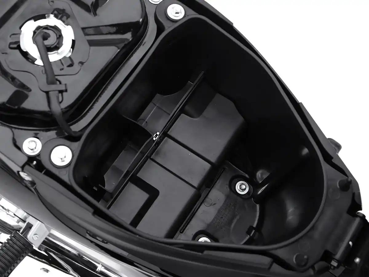 Asian Tiger 1 | Kamax Motorcycle