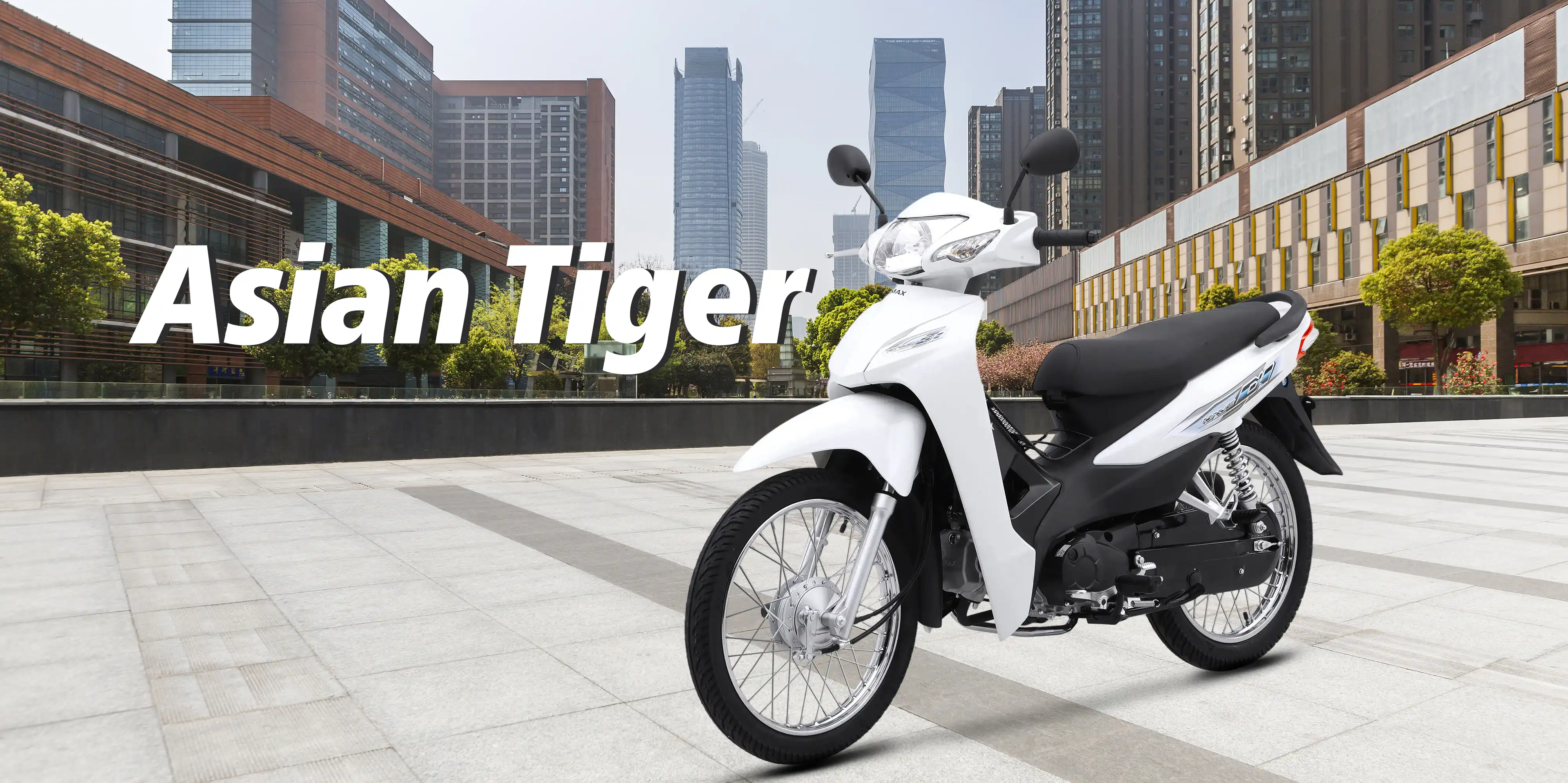 Asian Tiger 3 - PC