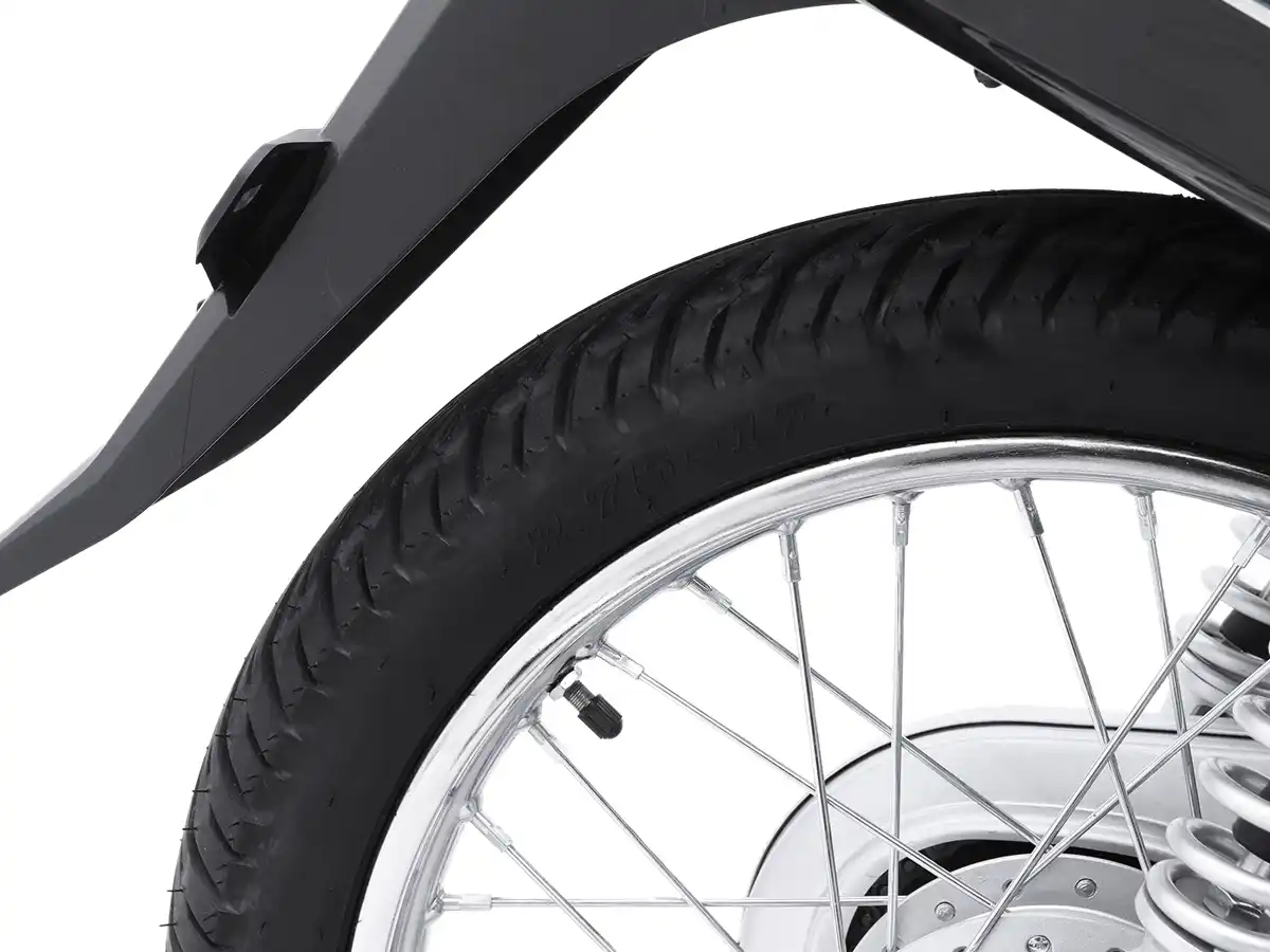 Asian Tiger 1 | Kamax Motorcycle