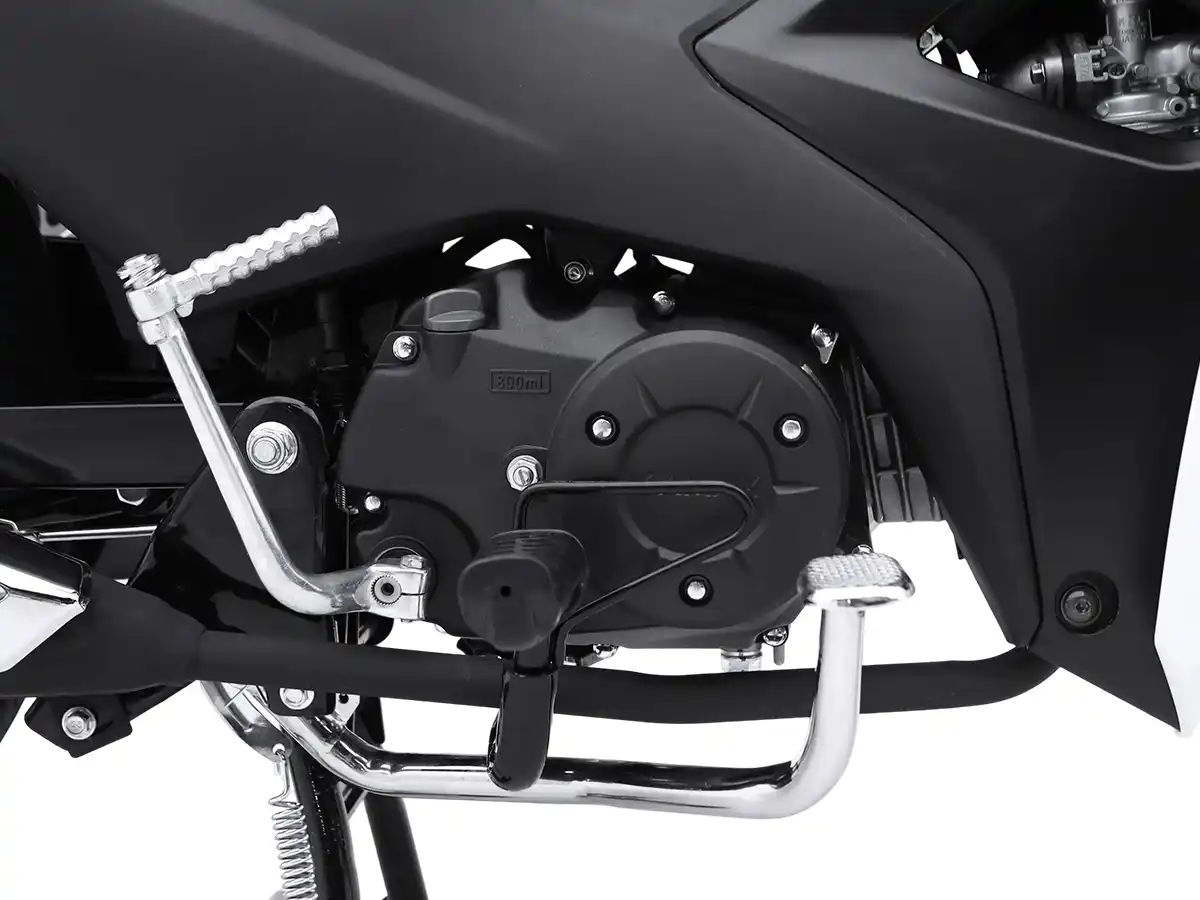 Asian Tiger 3 | Kamax Motorcycle