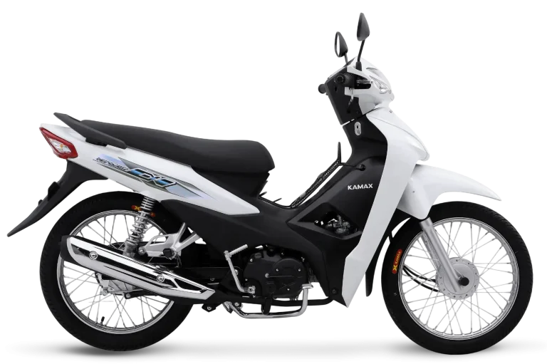Underbone Motorcycles - China OEM Motorcycle Manufacturer Asian-Tiger-3-Right