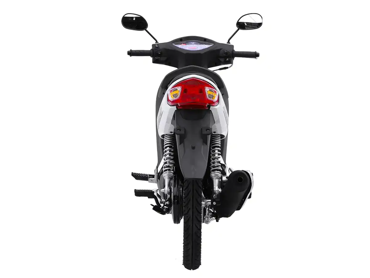 Asian Tiger 3 - Rear