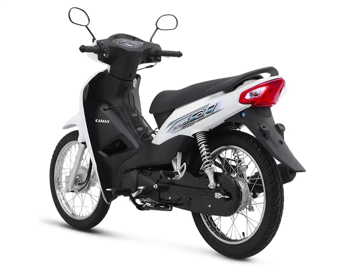 Asian Tiger 3 - Rear Left
