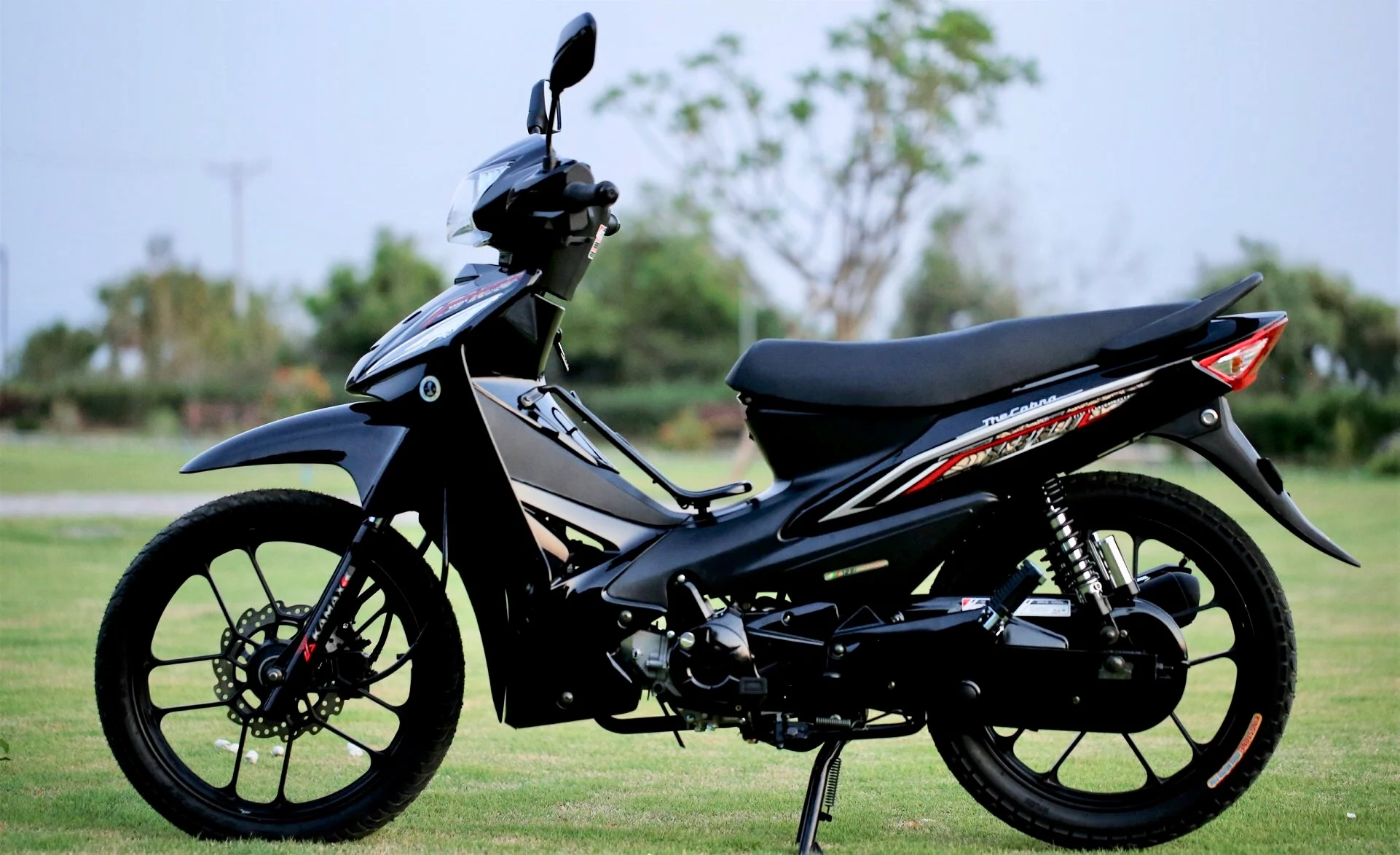 Cobra 125 - China OEM Motorcycle Manufacturer Cobra 125 | Kamax Motorcycle