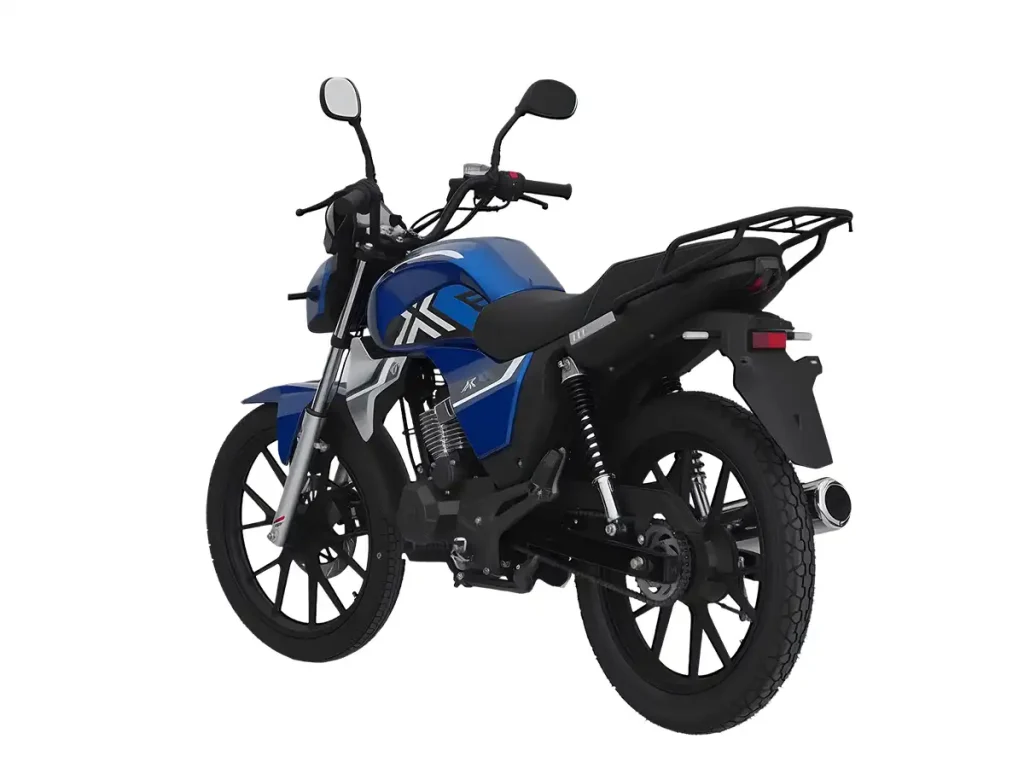 BACKFIRE 150 - China OEM Motorcycle Manufacturer BACKFIRE 150 | Kamax Motorcycle