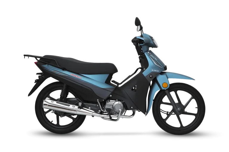 FIREFLY 110 underbone