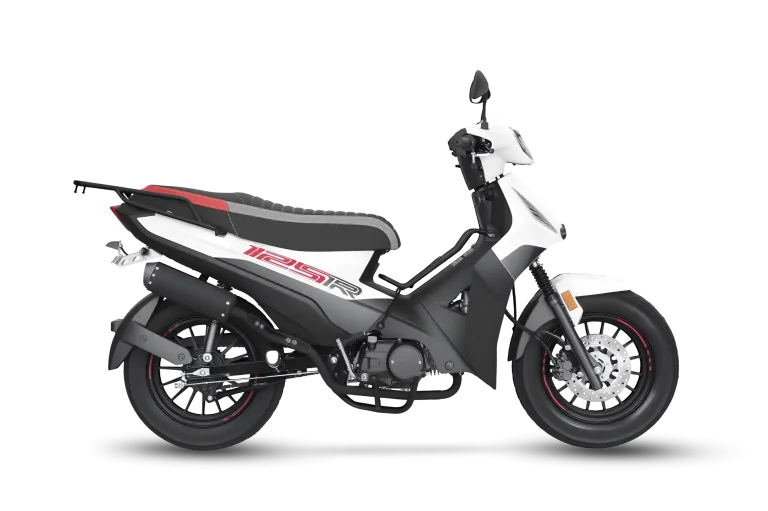 FIREFLY 125 Underbone Motorcycle