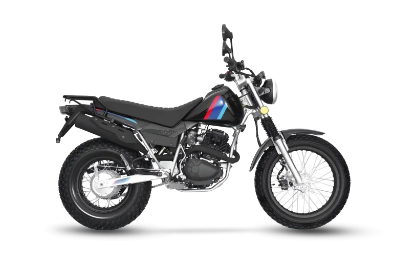 FORRESTER 250cc Street Motorcycle