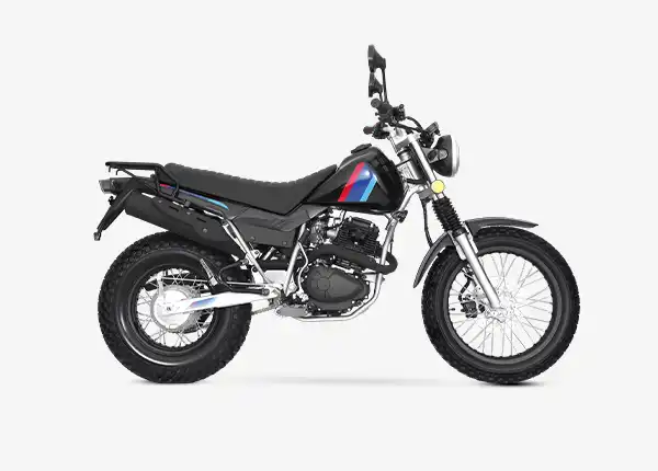 FORRESTER 250cc Street Motorcycle 