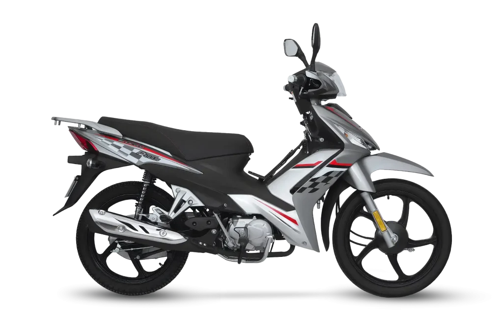 LUCKY PLUS 110 - China OEM Motorcycle Manufacturer LUCKY PLUS 110cc Commuter Motorcycle