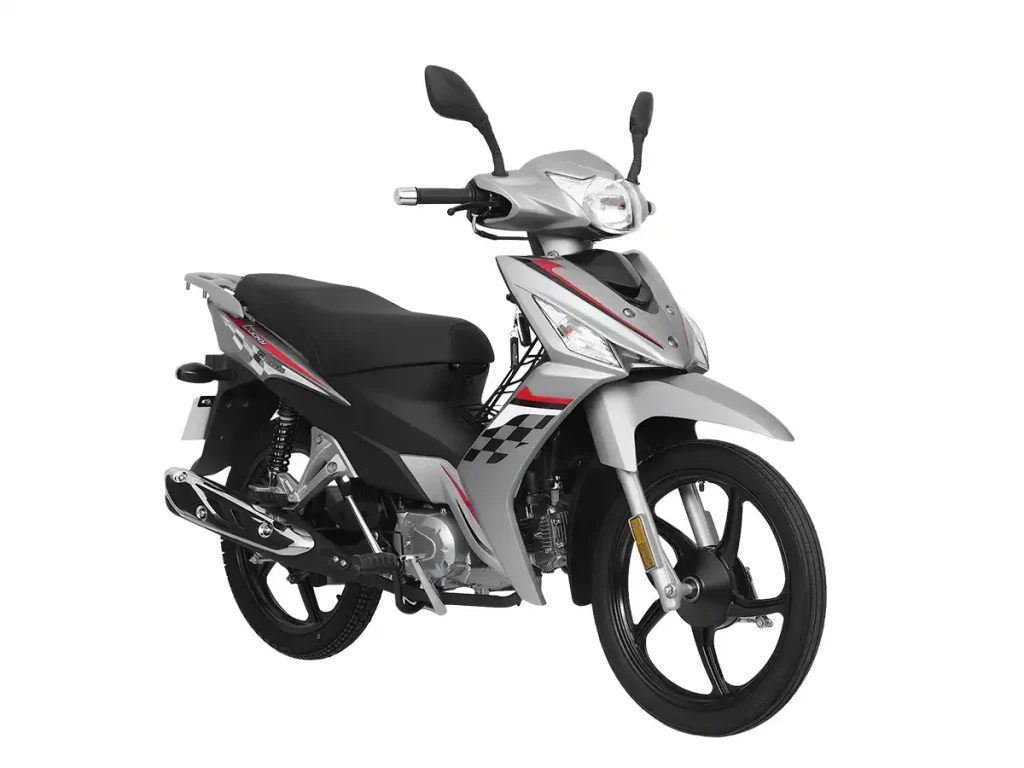 LUCKY PLUS 110 - China OEM Motorcycle Manufacturer LUCKY PLUS 110 | Kamax Motorcycle