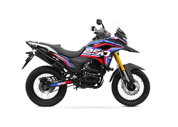 Rifle 2019 - China OEM Motorcycle Manufacturer Rifle 2019 | Kamax Motorcycle