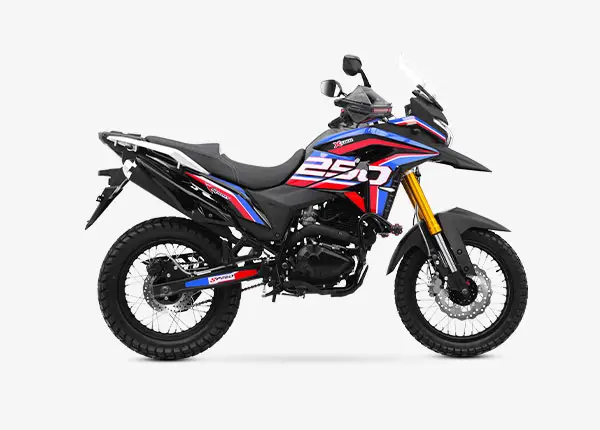 Rifle 2019 Dual Sports
