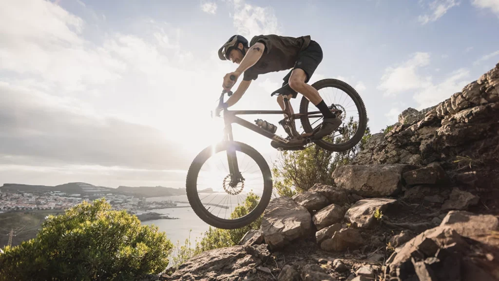 Electric Bike Types Explained - China OEM Motorcycle Manufacturer Trek mountain bikes